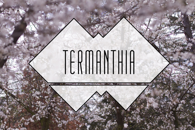 Termanthia DJ